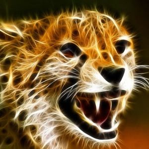 Meet your Posher, Fiona